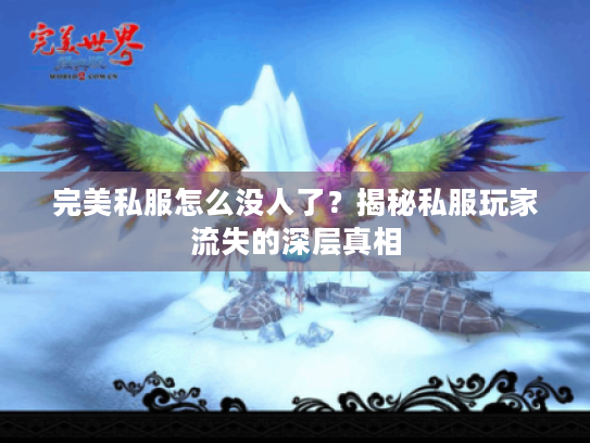 完美私服怎么没人了?揭秘私服玩家流失的深层真相 完美私服怎么没人了?揭秘私服玩家流失的深层真相