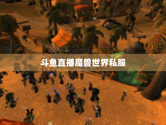 斗鱼直播魔兽世界私服 斗鱼直播魔兽世界私服