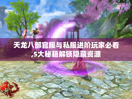 天龙八部官服与私服进阶玩家必看,5大秘籍解锁隐藏资源 天龙八部官服与私服进阶玩家必看,5大秘籍解锁隐藏资源