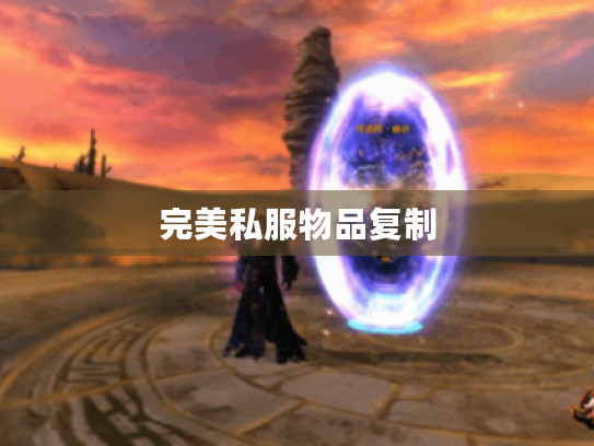 完美私服物品复制 完美私服物品复制