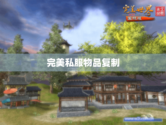 完美私服物品复制 完美私服物品复制