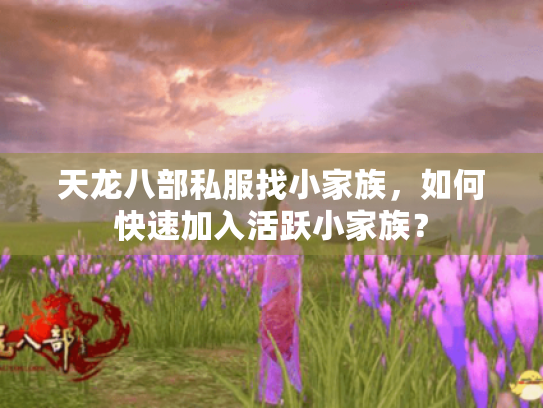 天龙八部私服找小家族,如何快速加入活跃小家族? 天龙八部私服找小家族,如何快速加入活跃小家族?