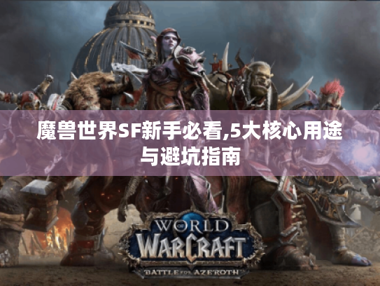 魔兽世界SF新手必看,5大核心用途与避坑指南 魔兽世界SF新手必看,5大核心用途与避坑指南
