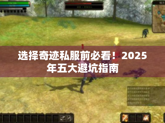 选择奇迹私服前必看!2025年五大避坑指南 选择奇迹私服前必看!2025年五大避坑指南