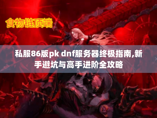 私服86版pk dnf服务器终极指南,新手避坑与高手进阶全攻略 私服86版pk dnf服务器终极指南,新手避坑与高手进阶全攻略
