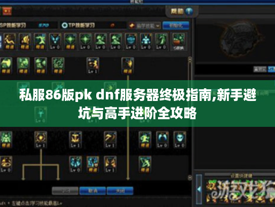 私服86版pk dnf服务器终极指南,新手避坑与高手进阶全攻略 私服86版pk dnf服务器终极指南,新手避坑与高手进阶全攻略