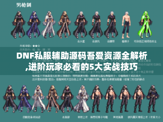 DNF私服辅助源码吾爱资源全解析,进阶玩家必看的5大实战技巧 DNF私服辅助源码吾爱资源全解析,进阶玩家必看的5大实战技巧