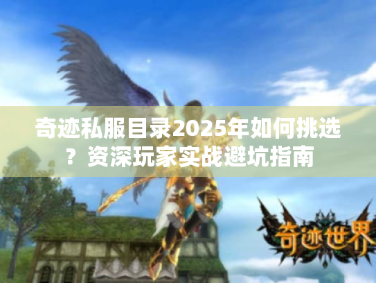 奇迹私服目录2025年如何挑选？资深玩家实战避坑指南