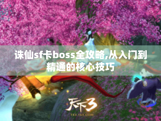 诛仙sf卡boss全攻略,从入门到精通的核心技巧