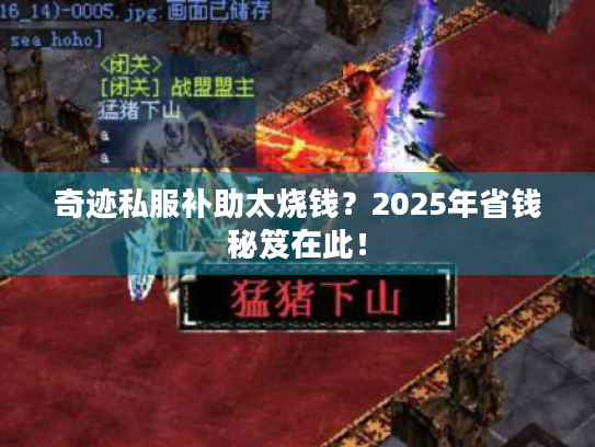 奇迹私服补助太烧钱？2025年省钱秘笈在此！