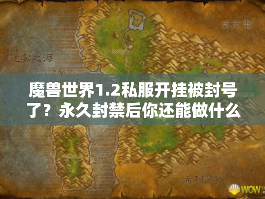 魔兽世界1.2私服开挂被封号了?永久封禁后你还能做什么? 魔兽世界1.2私服开挂被封号了?永久封禁后你还能做什么?