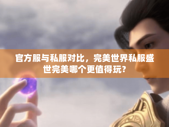官方服与私服对比，完美世界私服盛世完美哪个更值得玩？