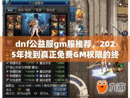 dnf公益服gm服推荐,2025年找到真正免费GM权限的终极方案 dnf公益服gm服推荐,2025年找到真正免费GM权限的终极方案