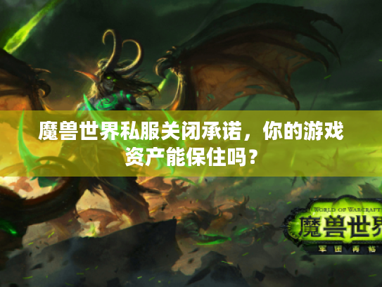 魔兽世界私服关闭承诺，你的游戏资产能保住吗？