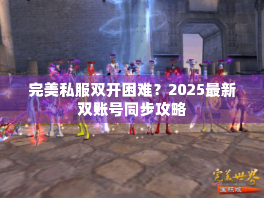 完美私服双开困难？2025最新双账号同步攻略