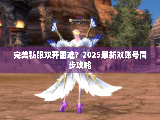 完美私服双开困难？2025最新双账号同步攻略
