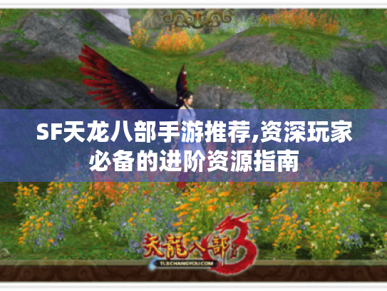 SF天龙八部手游推荐,资深玩家必备的进阶资源指南