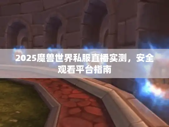 2025魔兽世界私服直播实测，安全观看平台指南