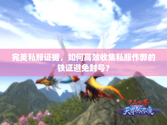 完美私服证据,如何高效收集私服作弊的铁证避免封号? 完美私服证据,如何高效收集私服作弊的铁证避免封号?