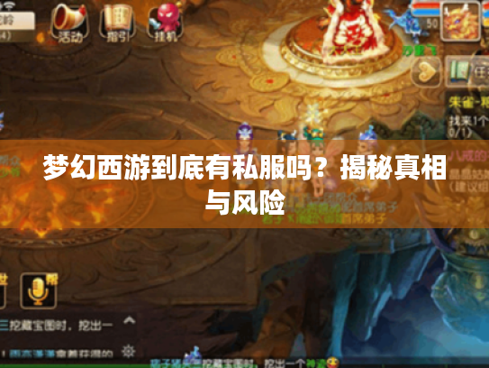 梦幻西游到底有私服吗?揭秘真相与风险 梦幻西游到底有私服吗?揭秘真相与风险