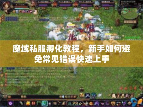 魔域私服孵化教程,新手如何避免常见错误快速上手 魔域私服孵化教程,新手如何避免常见错误快速上手
