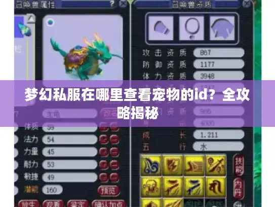 梦幻私服在哪里查看宠物的id?全攻略揭秘 梦幻私服在哪里查看宠物的id?全攻略揭秘