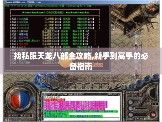 找私服天龙八部全攻略,新手到高手的必备指南 找私服天龙八部全攻略,新手到高手的必备指南