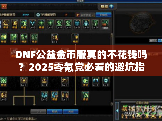 DNF公益金币服真的不花钱吗？2025零氪党必看的避坑指南