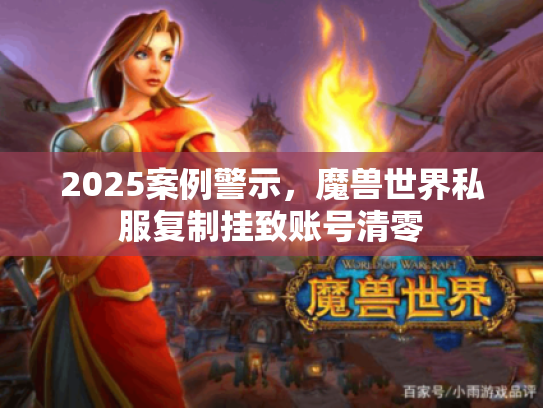 2025案例警示，魔兽世界私服复制挂致账号清零