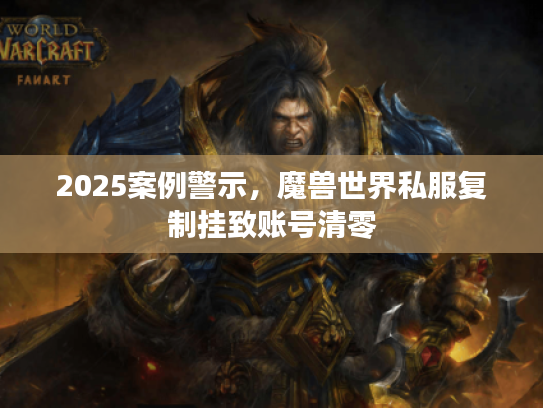 2025案例警示，魔兽世界私服复制挂致账号清零