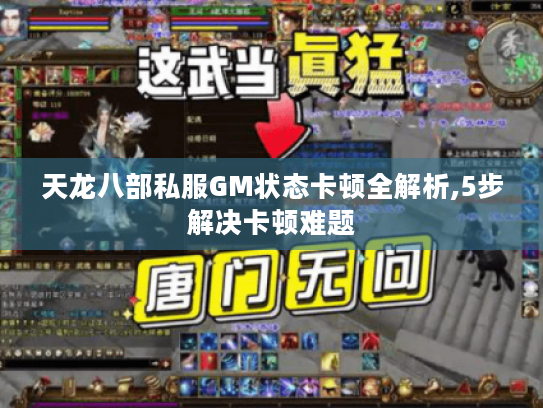 天龙八部私服GM状态卡顿全解析,5步解决卡顿难题 天龙八部私服GM状态卡顿全解析,5步解决卡顿难题