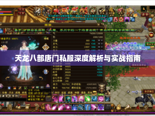 天龙八部唐门私服深度解析与实战指南 天龙八部唐门私服深度解析与实战指南
