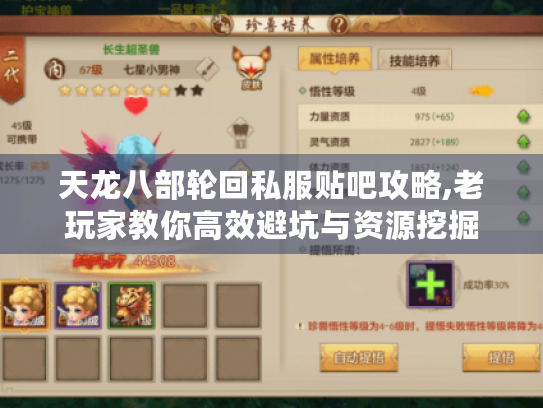 天龙八部轮回私服贴吧攻略,老玩家教你高效避坑与资源挖掘 天龙八部轮回私服贴吧攻略,老玩家教你高效避坑与资源挖掘