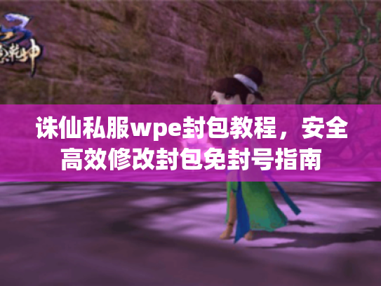 诛仙私服wpe封包教程,安全高效修改封包免封号指南 诛仙私服wpe封包教程,安全高效修改封包免封号指南