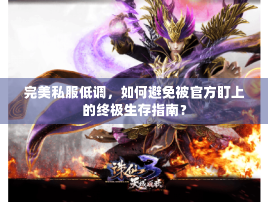 完美私服低调,如何避免被官方盯上的终极生存指南? 完美私服低调,如何避免被官方盯上的终极生存指南?