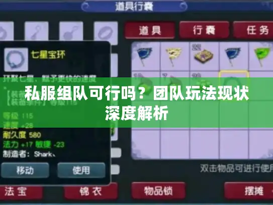 私服组队可行吗?团队玩法现状深度解析 私服组队可行吗?团队玩法现状深度解析