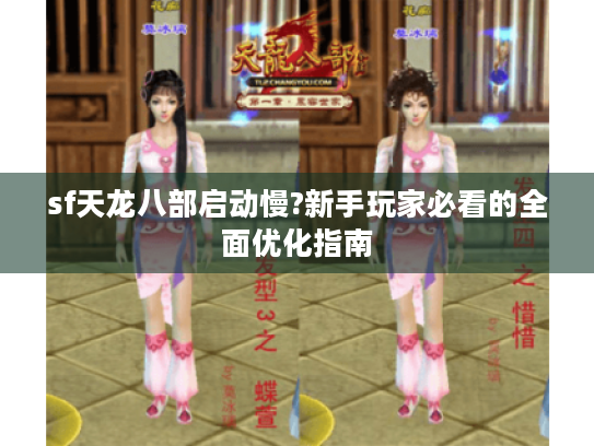 sf天龙八部启动慢?新手玩家必看的全面优化指南 sf天龙八部启动慢?新手玩家必看的全面优化指南