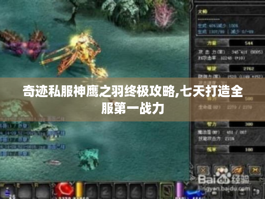 奇迹私服神鹰之羽终极攻略,七天打造全服第一战力