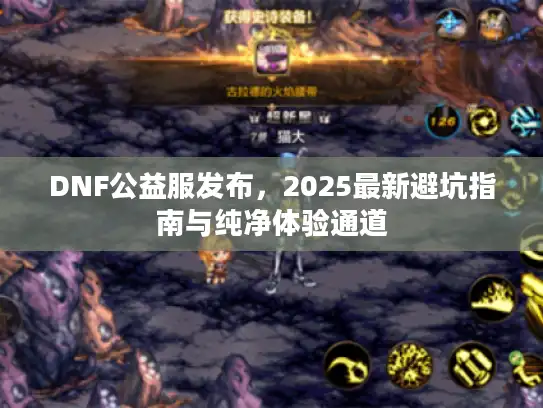 DNF公益服发布，2025最新避坑指南与纯净体验通道