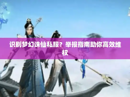 识别梦幻诛仙私服？举报指南助你高效维权