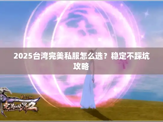 2025台湾完美私服怎么选？稳定不踩坑攻略