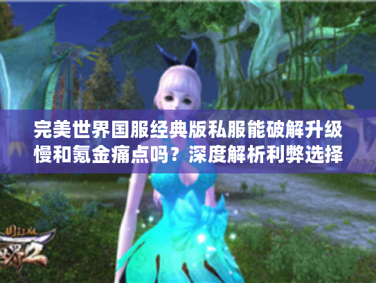 完美世界国服经典版私服能破解升级慢和氪金痛点吗？深度解析利弊选择