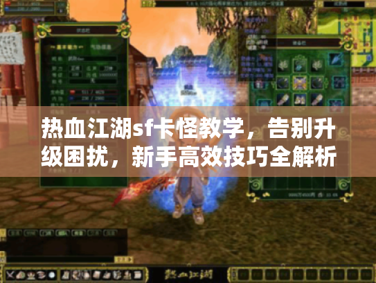热血江湖sf卡怪教学，告别升级困扰，新手高效技巧全解析