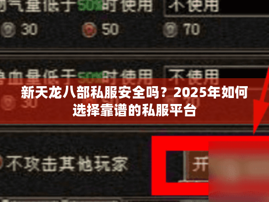 新天龙八部私服安全吗？2025年如何选择靠谱的私服平台