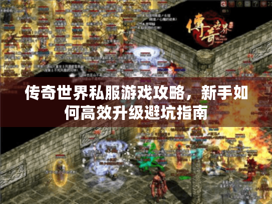 传奇世界私服游戏攻略，新手如何高效升级避坑指南