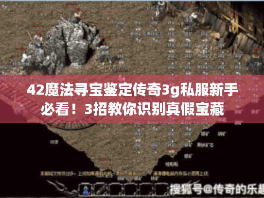 42魔法寻宝鉴定传奇3g私服新手必看！3招教你识别真假宝藏