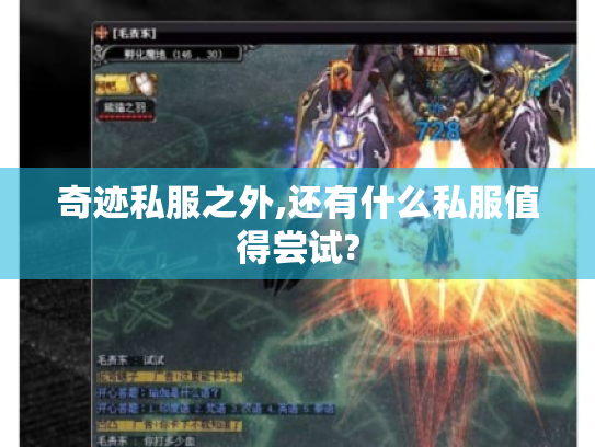 奇迹私服之外,还有什么私服值得尝试? 奇迹私服之外,还有什么私服值得尝试?