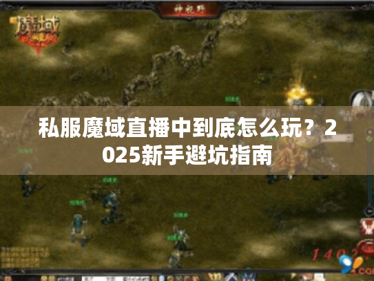 私服魔域直播中到底怎么玩?2025新手避坑指南 私服魔域直播中到底怎么玩?2025新手避坑指南