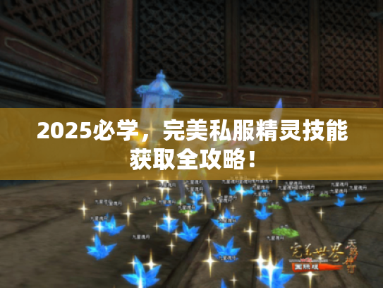 2025必学,完美私服精灵技能获取全攻略! 2025必学,完美私服精灵技能获取全攻略!