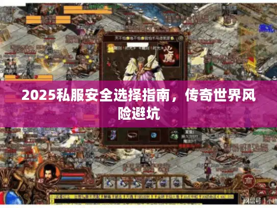 2025私服安全选择指南，传奇世界风险避坑